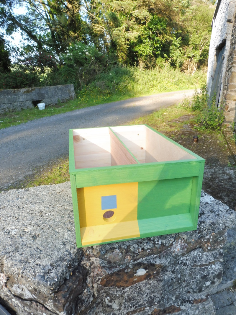 'yellow' end of double nucleus hive box