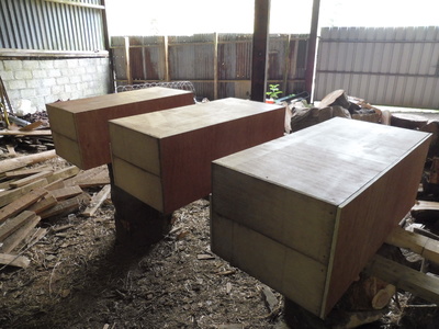 Three hives laid out on rails in the barn for painting