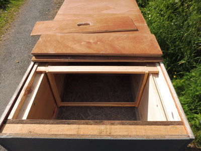 The hive with a couple of panels removed, showing a frame inside, the mesh floor, and wood shavings in the space below